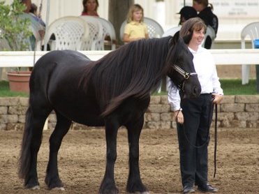 Anne at show 2010