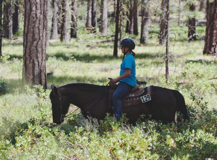 Barnabas on a trail ride summer of 2012