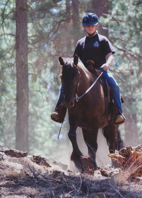 Barnabas on a trail ride summer of 2012