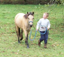 Jonathan leading Cassie in the pasture