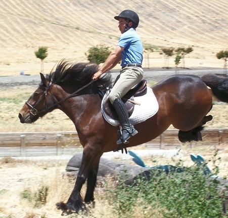 log jump - look at the hind leg tuck!