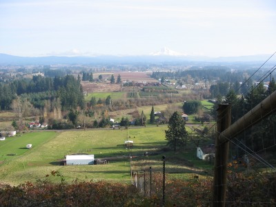 Braeberry Farm - Hill View
