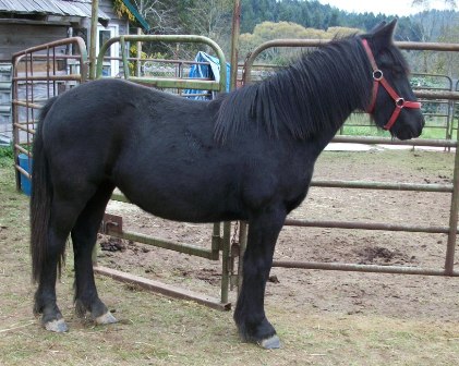 casual pasture pose October 2013